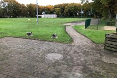 Arbeitseinsatz_2021_24