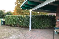 Arbeitseinsatz_2021_29