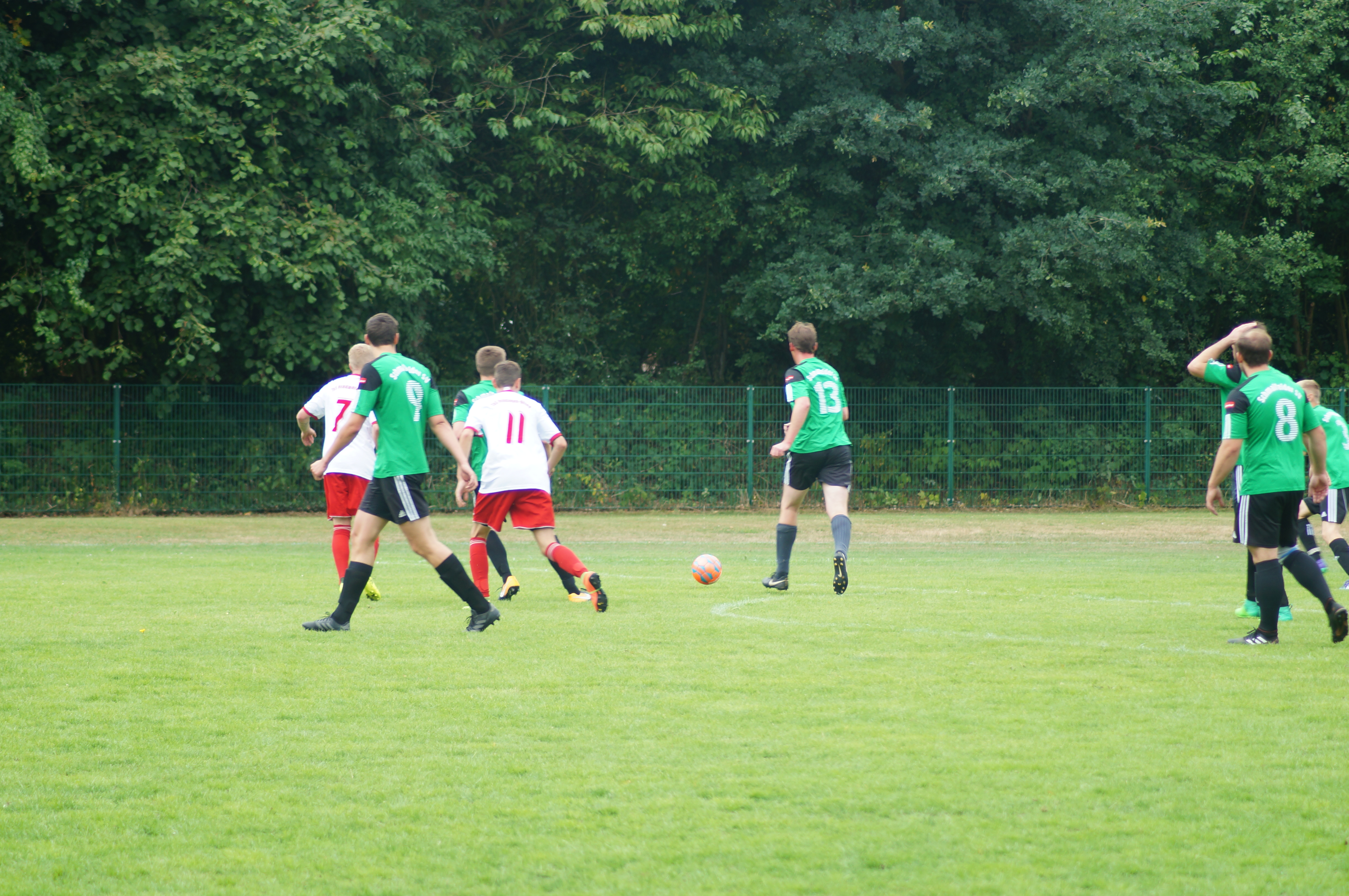 DSC00307