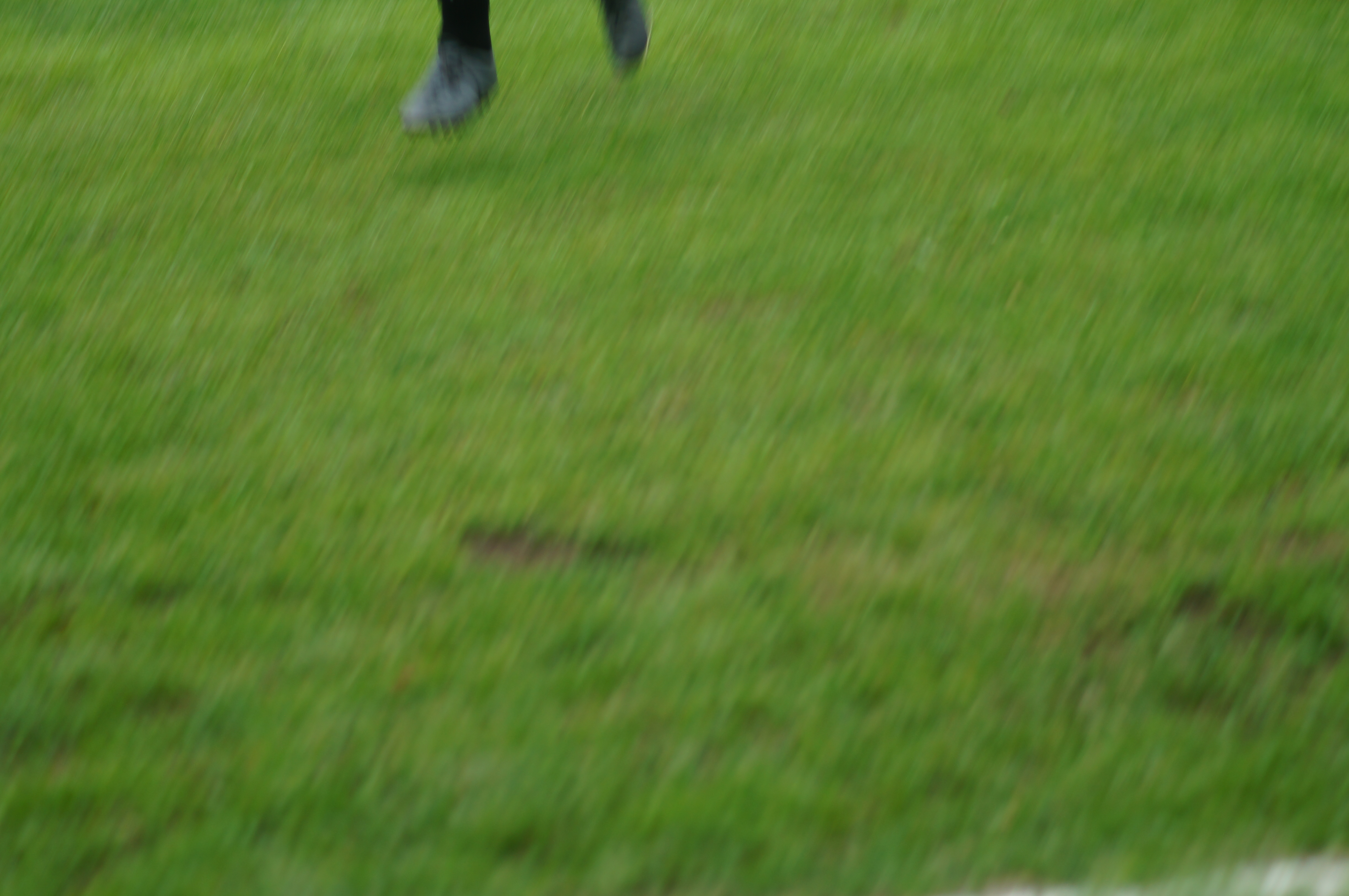 DSC00494