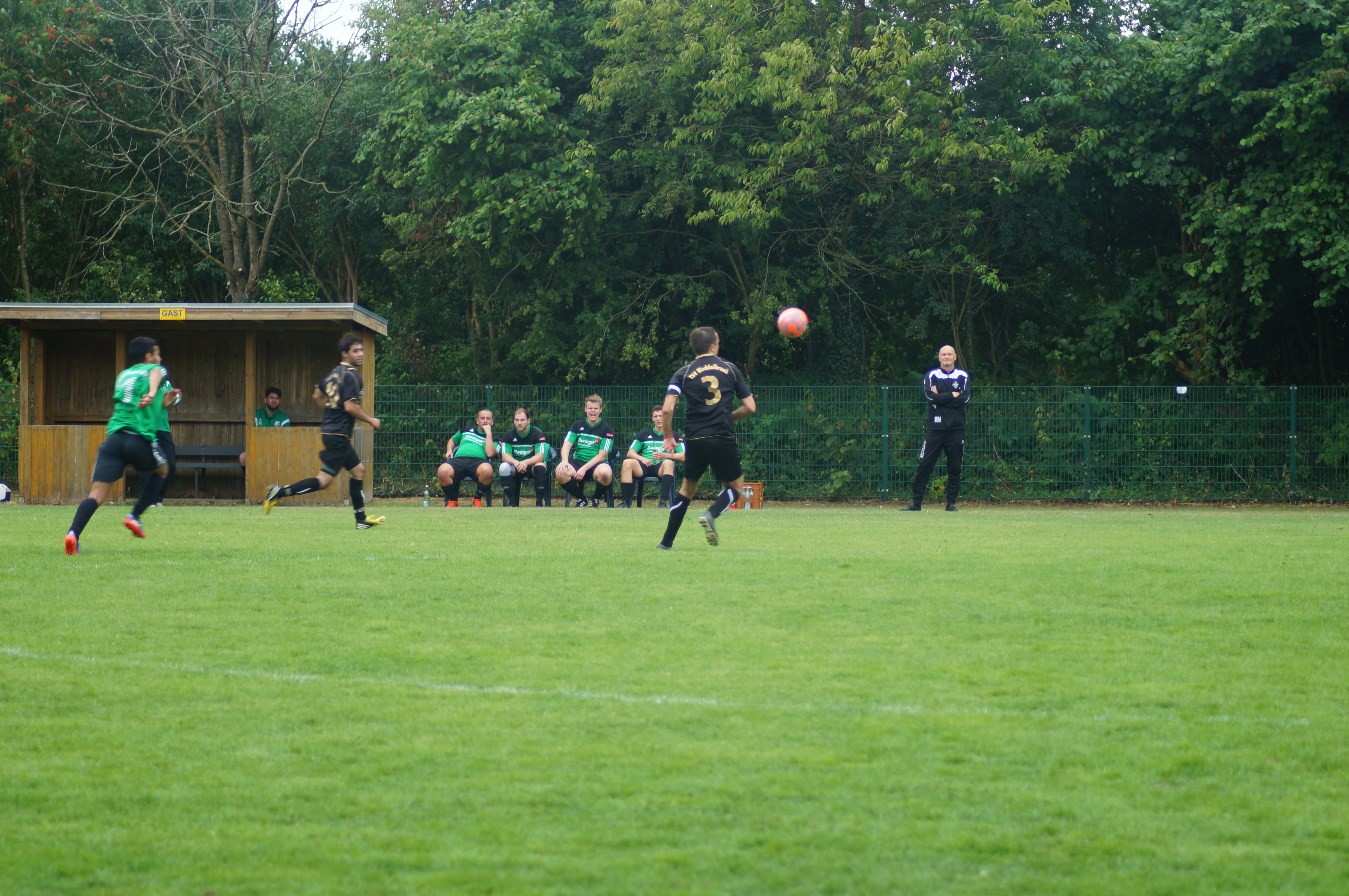 DSC00551