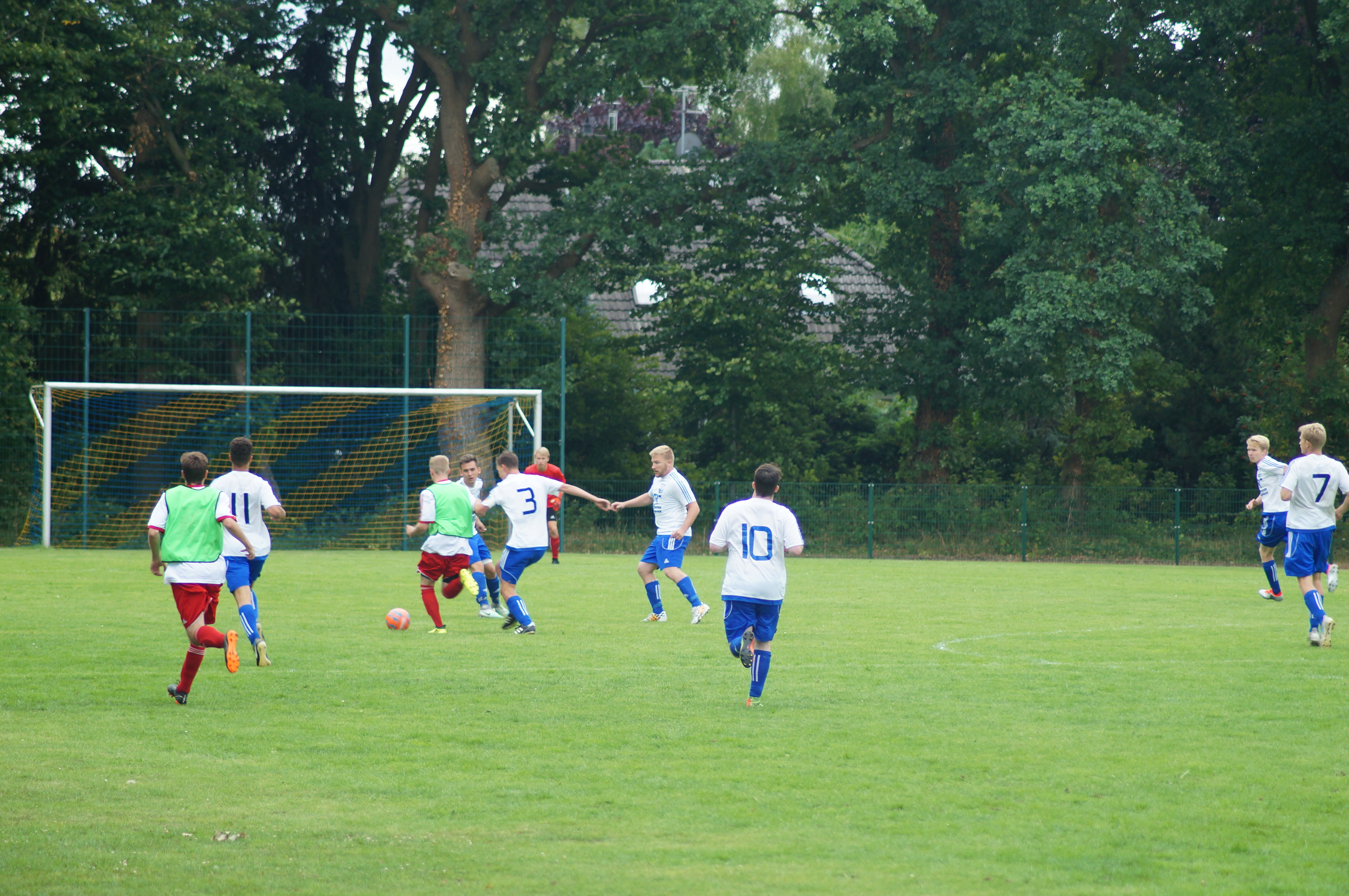 DSC00636