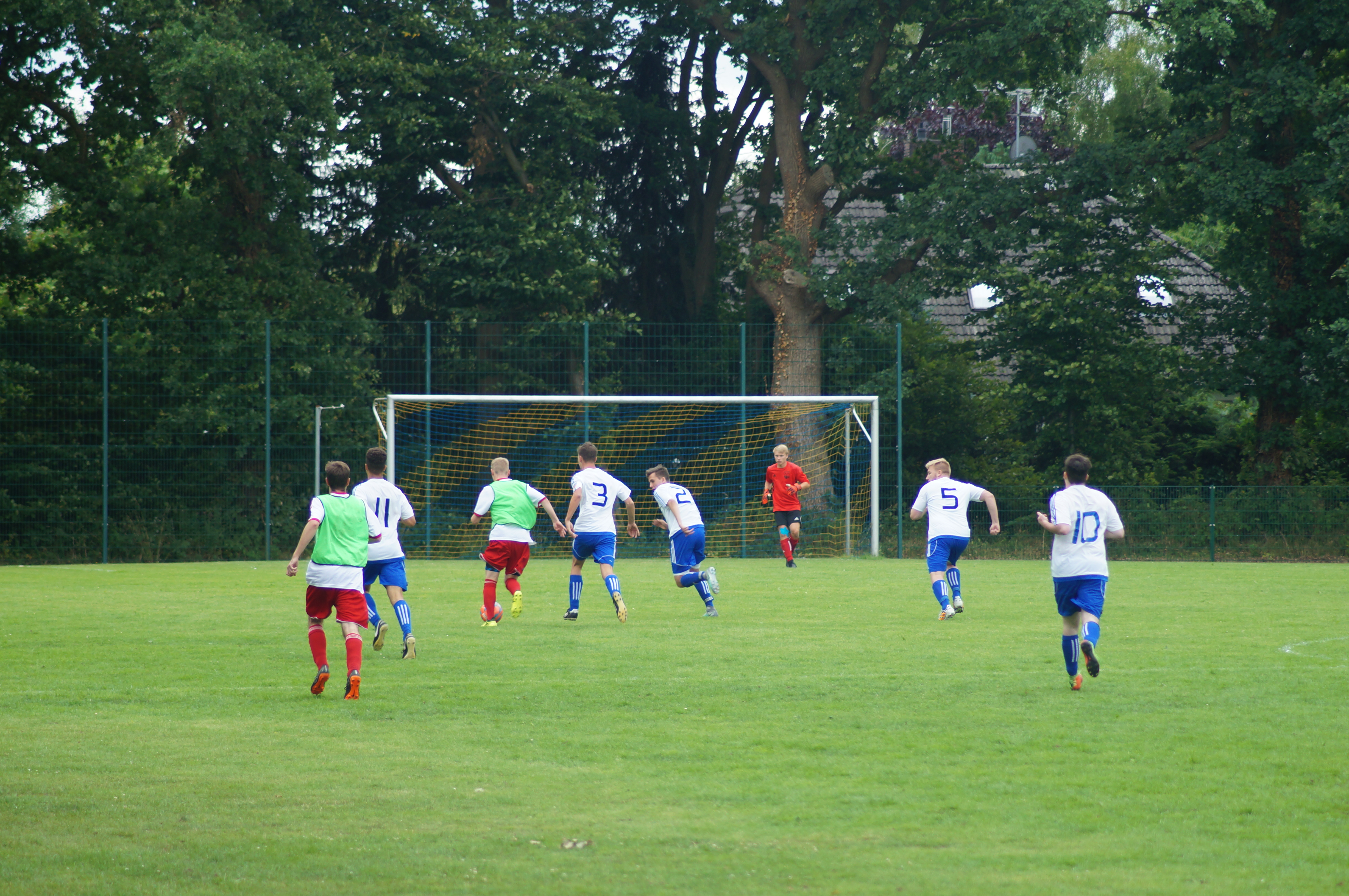 DSC00641