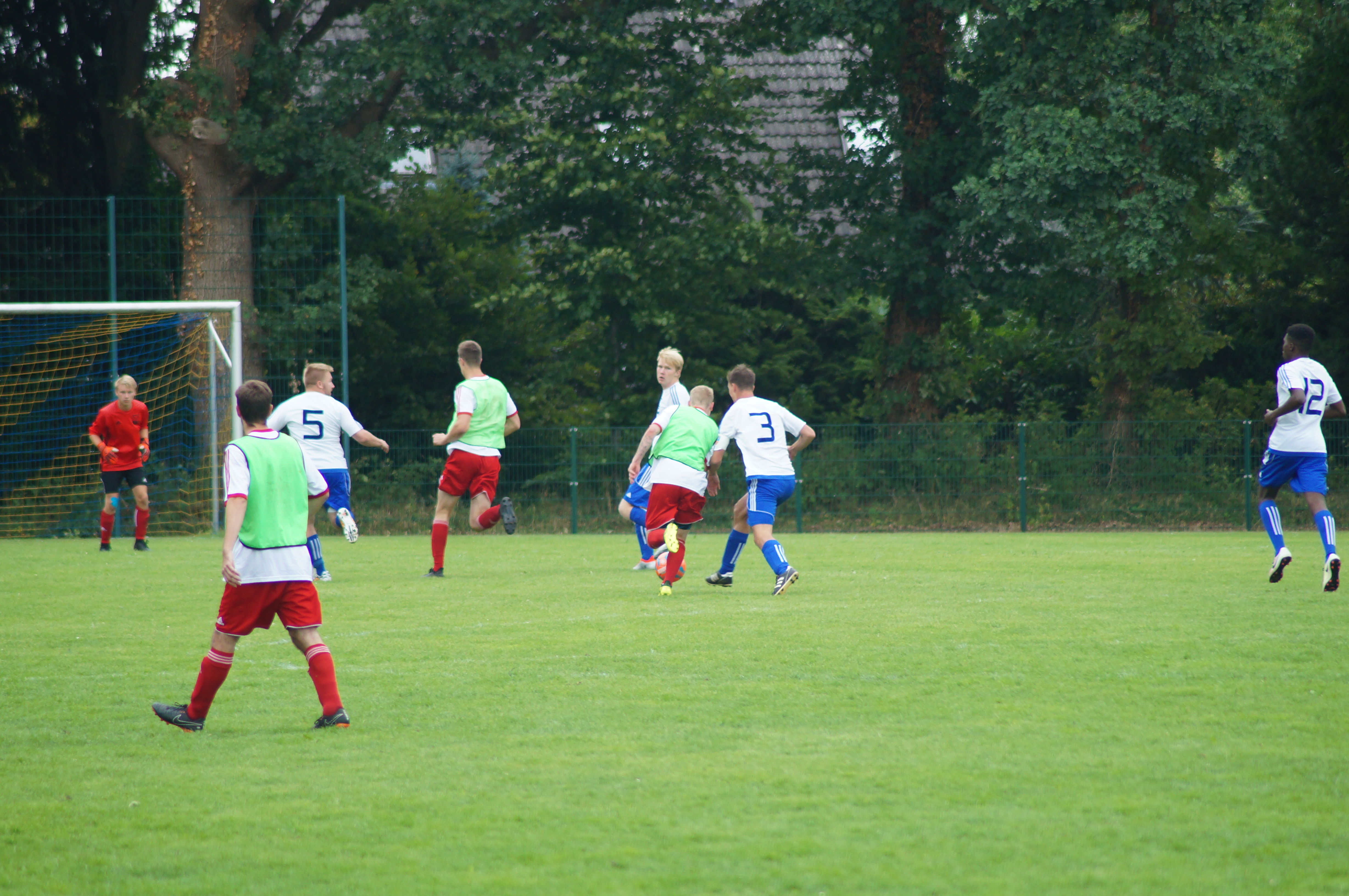 DSC00646