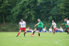 DSC00186