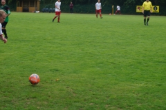 DSC00321