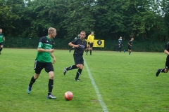 DSC00381