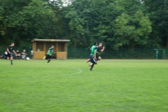 DSC00555