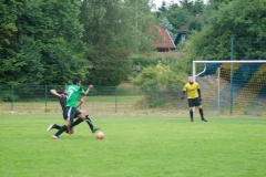 DSC00561