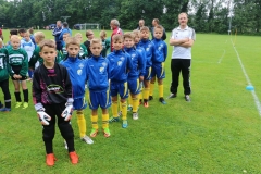 F-Jugend-Turnier-2017-3