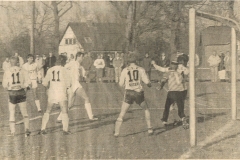 Pauli-1988-6